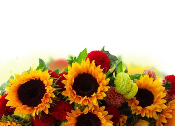 Dahlien Und Sonnenblumenstrauß Frische Blumen Rand Isoliert Auf Weißem Hintergrund — Stockfoto