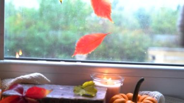 Bu sonbahar konsepti, penceresinde sıcak kurutma ile el yerleştirme kupası