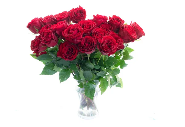 Crimson Red Rose Flowers Bouquet Vase Isolated White Background — Stock Photo, Image