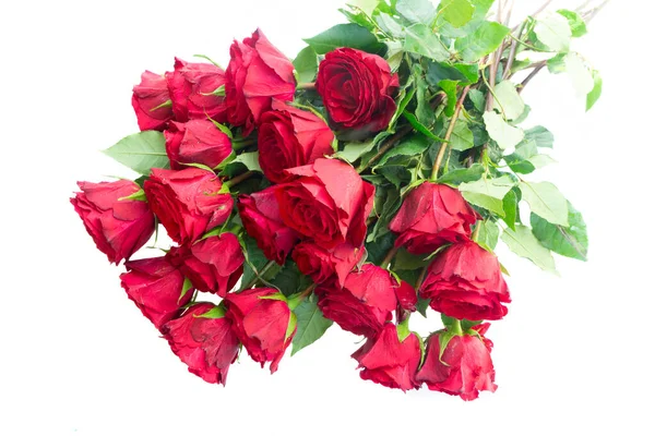 Crimson Rode Roos Bloemen Boeket Geïsoleerd Witte Achtergrond — Stockfoto