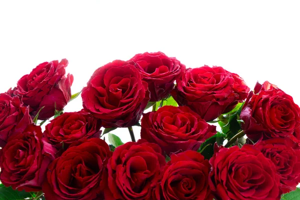 Crimson Röda Ros Blommor Bukett Gräns Isolerad Vit Bakgrund — Stockfoto