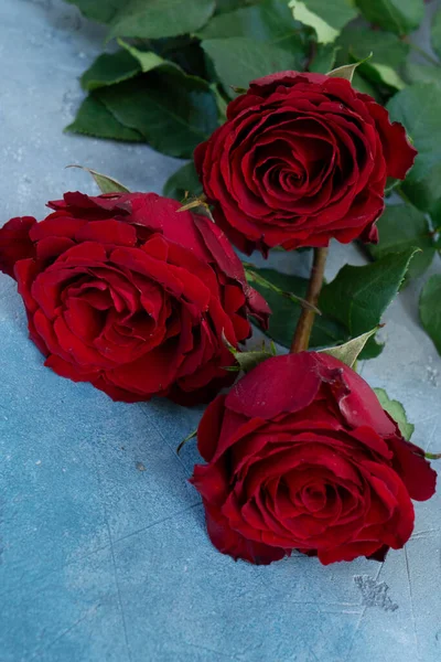 深红色的玫瑰花朵紧凑在一起 情人节背景 — 图库照片