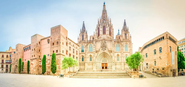 Panorama Square Cathedral Church Gotic Quarter Barcelona Spain — Stock Photo, Image