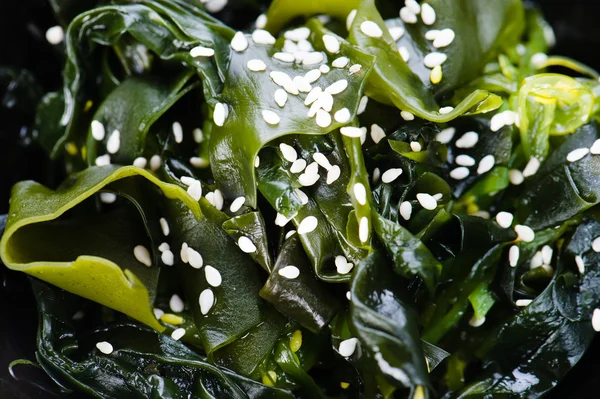 Salade d'algues — Photo