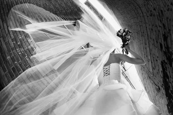 Sposa in abito da sposa — Foto Stock