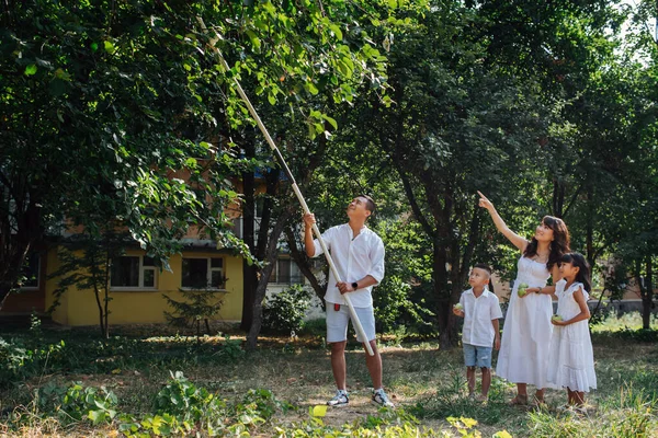 Веселая Азиатская Семья Белой Одежде Прогуливается Траве Наслаждаясь Последними Теплыми — стоковое фото