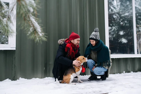 Bella Coppia Accarezzare Loro Beagle All Aperto Inverno Accovacciandosi Entrambi — Foto Stock