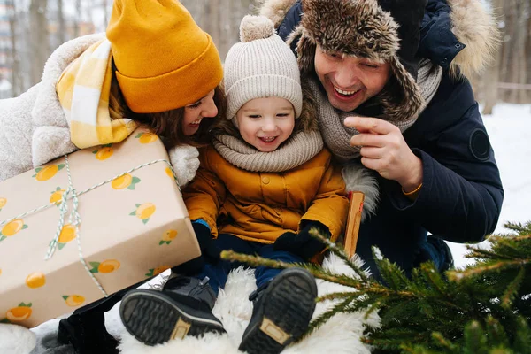 Eine Familie Winterwald Ein Elternteil Neben Einem Baby Schlitten Sie — Stockfoto