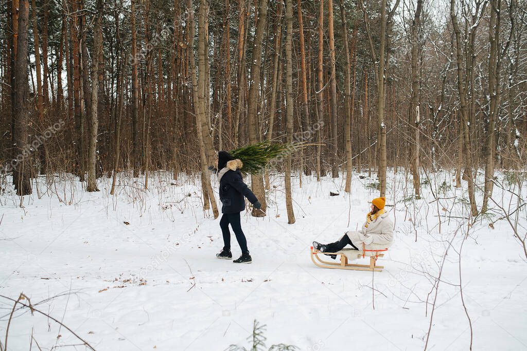 Side view on happy couple. A man with a Christmas tree on his shoulder walks through the winter woods and pulls a sledge with a woman behind him. 