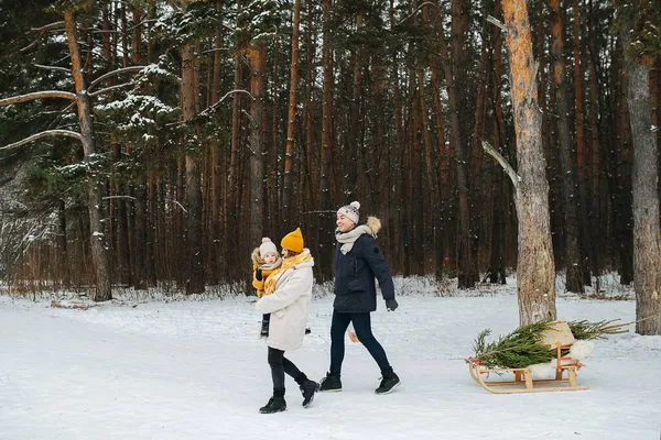 Пара на прогулянці по зимовому лісі з дитиною напередодні Різдва — стокове фото