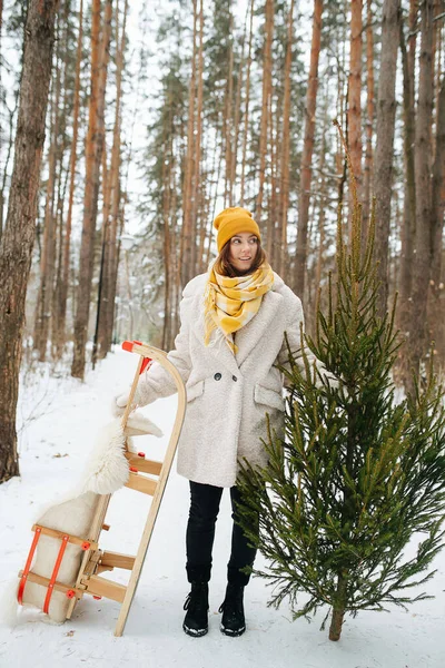 Зимові канікули Дівчина з ялинкою і санки в зимовому лісі — стокове фото