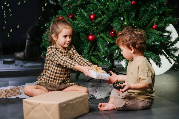 Sorella Premurosa Che Regalo Suo Fratellino Sono Seduti Sotto Albero — Foto Stock