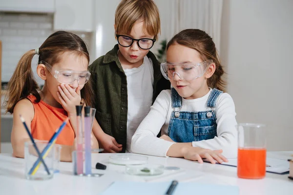 Los Niños Pequeños Asombrados Haciendo Proyecto Ciencia Casera Mirando Plato — Foto de Stock