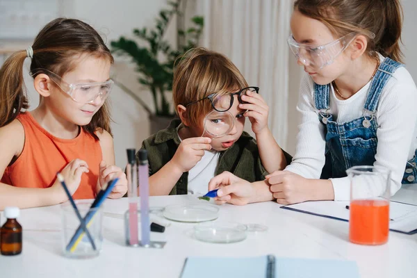 Divertidos Niños Haciendo Proyecto Ciencias Del Hogar Mirando Hoja Pinzas — Foto de Stock