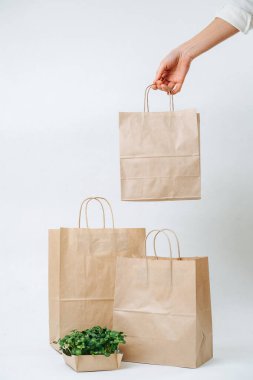 Hand bringing empty brown paper bag, placing next to the rest and paper plant bed over white background. Eco friendly compostable objects.