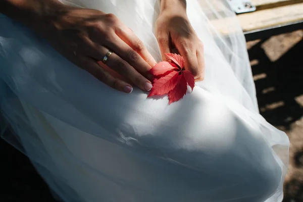 一个穿着白色衣服的女人在她的围裙上挂着红叶的特写 影子和阳光击中了她的腿 — 图库照片