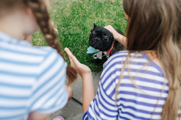 Little girls petting a black pug dog, pulling skin on the head back. From behind their backs.