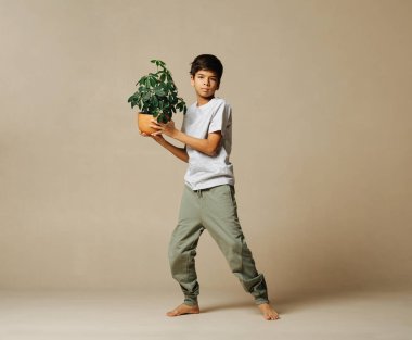 Kollarında saksı bitkisi tutan sıradan giyinmiş Hintli bir çocuğun uzak plan fotoğrafı. Bej arka planda. Dengesini değiştiriyor, kameraya bakıyor..