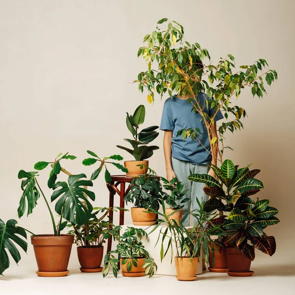 Menino Atrás Uma Pequena Árvore Uma Sala Cheia Plantas Vasos — Fotografia de Stock