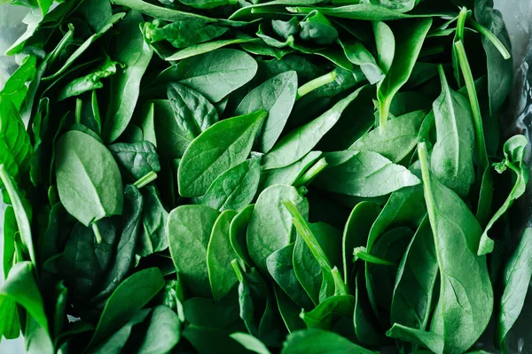 Feuilles d'épinards fraîches en purée d'un concert. Verts dans une texture. — Photo