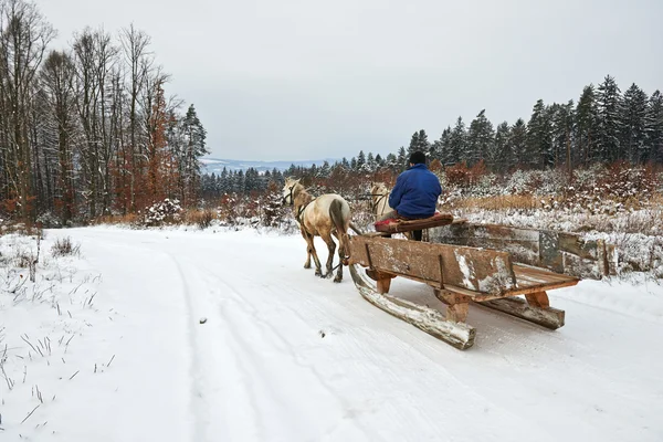 Зимові санки, прив'язані до коней Ліцензійні Стокові Фото