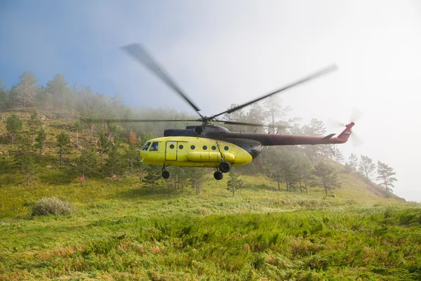 Gran helicóptero aterriza en el bosque en la niebla . Imagen de stock