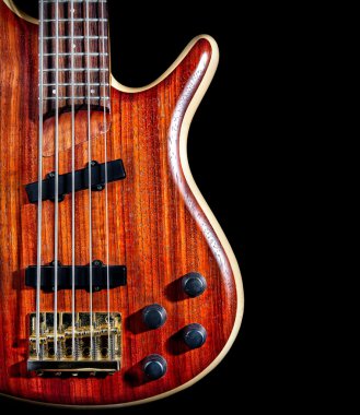 bas gitar