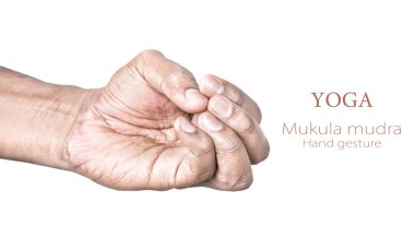 Mukula mudra
