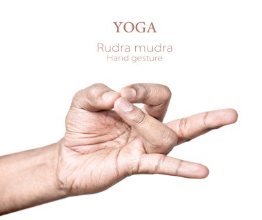 Rudra mudra