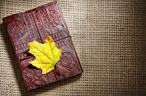 Diary and maple leaf — Stock Photo, Image