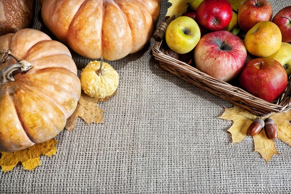 Erntedankfest — Stockfoto