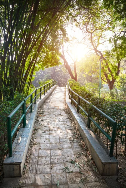 Ponte in giardino — Foto Stock