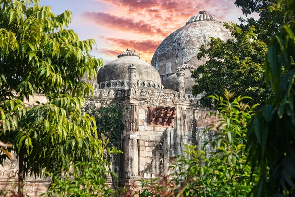 Lodi Garden — Stock Photo, Image