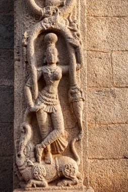 Duvardaki Hindistan'da Hindu Tanrıça