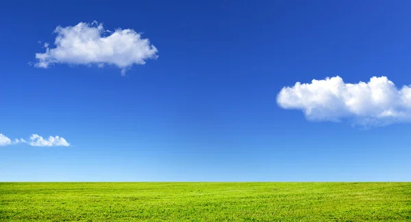 Erba verde e cielo blu — Foto Stock