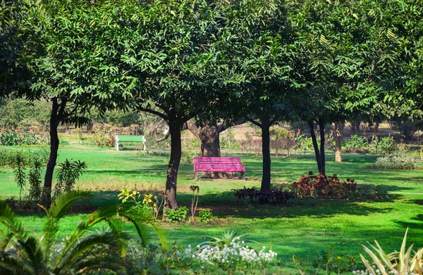 Roze bankje in het park — Stockfoto