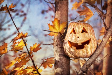 Halloween pumpkin in the forest clipart