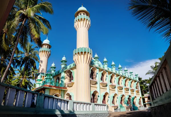 Mosque in India — Stock Photo, Image