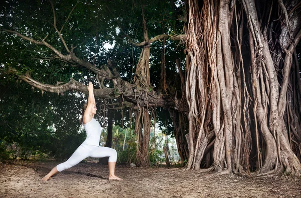 Yoga vicino albero di banyan — Foto Stock