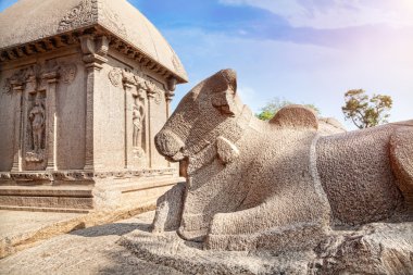 mamallapuram boğa heykeli