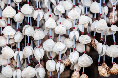 Seashell süslemeleri