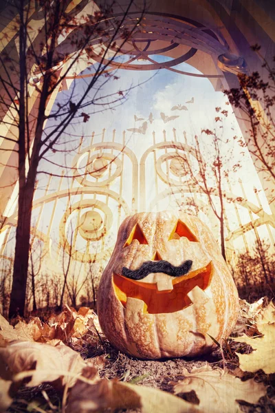 Halloween pumpkin near the gate — Stock Photo, Image