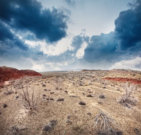Dry earth and overcast sky — Stock Photo, Image