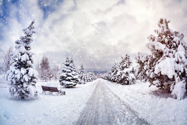 Winter park — Stock Photo, Image