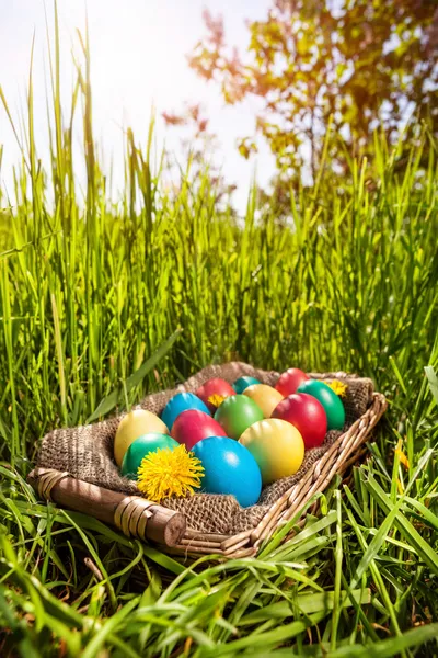 Huevos de Pascua en la hierba — Foto de Stock