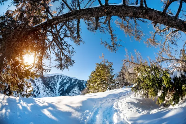 Inverno paisagem de montanha — Fotografia de Stock