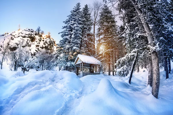 Winter mountain scenery — Stockfoto