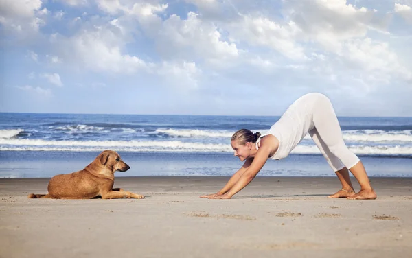 Yoga avec chien en Inde — Photo