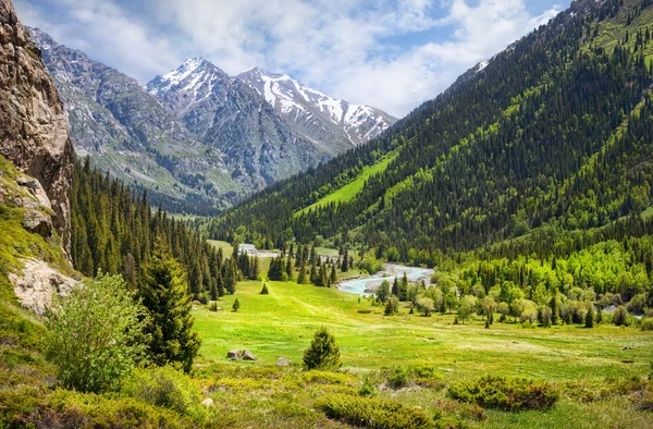 Bergdal — Stockfoto