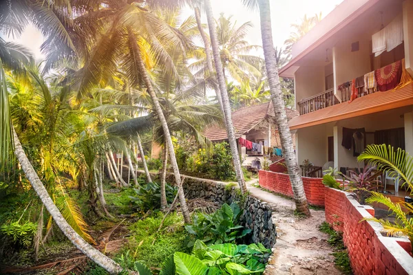 Guest house in tropic — Stock Photo, Image